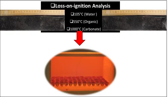 Figure 3: Systematic illustration showing the steps involved in Loss on Ignition analysis (LOI)