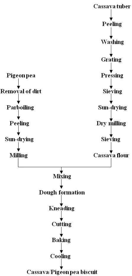 Figure 1:  Flow Chart of the process of making cassava/pigeon pea biscuit. 