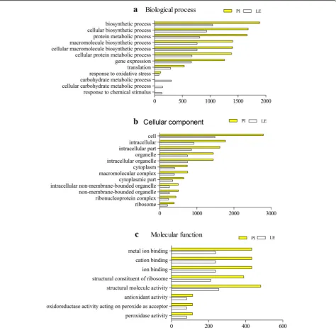 Fig. 4 GO annotation clusters of DEGs. GO functional enrichment analysis of DEGs in the roots of different allelopathic rice accessions