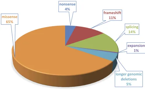 Figure 3 Proportion of different mutation types of 178 HGD gene variants affectingHGD function identiﬁed in about 530 AKU patients.Note: Data from HGD Mutation Database (http://hgddatabase.cvtisr.sk).