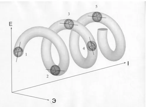 Figure 13. Cyclic change of the function of state equilibrium according to the change of energy-element-(Е,Э,I)f of the Universe and biosystems 1-5, aligning their informational characteristics of the Universe 
