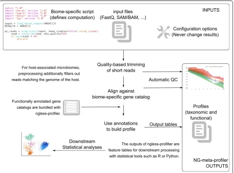 Fig. 1 Schematic illustration of NG-meta-profiler