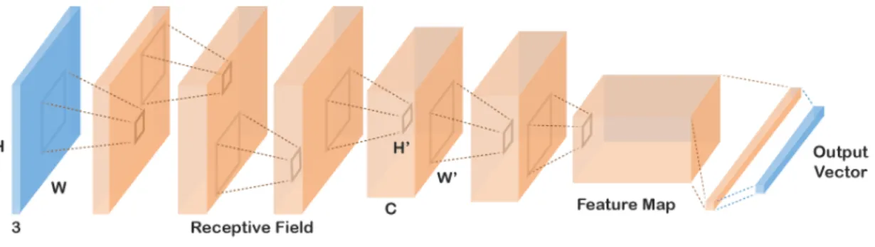 Figure 4: A convolutional neural network takes an image on input (in blue) and transforms it into a vector code (in blue)