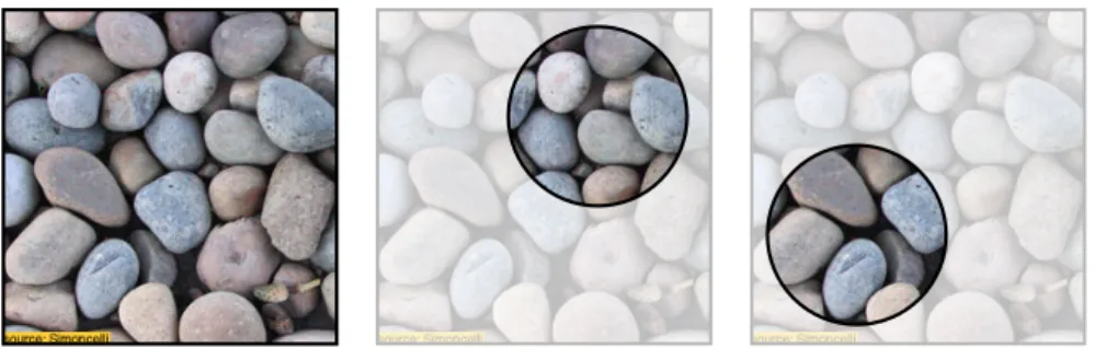 Figure 1.1: Definition of a static texture. A static texture is a visual pattern that exhibits local spatial variations while maintaining global homogeneity