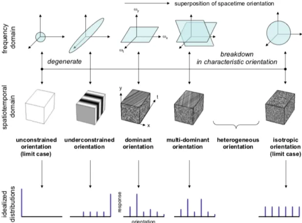 Figure 2.5: Dynamic texture spectrum (figure from Derpanis and Wildes [12], Copyright c 2012, IEEE)
