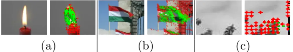 Figure 6: (Best viewed in color) Samples (a), (b), (c) of dense trajectories extracted from the corresponding videos in UCLA, DynTex, and DynTex++