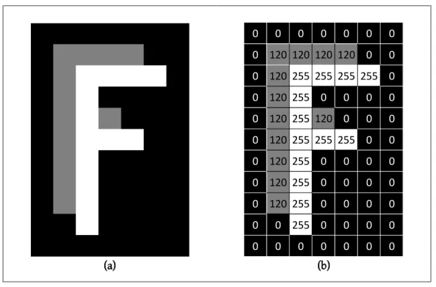 Figure 2-2: (a) An example greyscale image of an “F” with size 7 x 11 pixels, and (b) its computer  representation