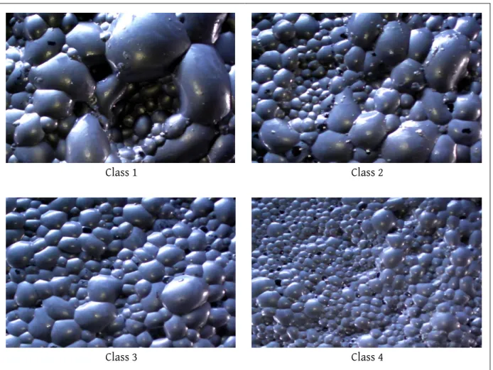 Figure 4-2: Example platinum froth flotation images 