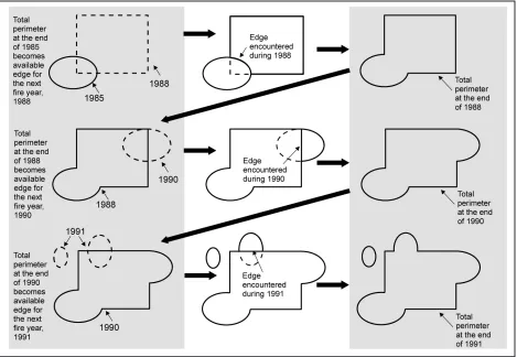 Figure 2.  Fire edge and boundary development using ArcGIS.  The polygons (representing fires) from consecutive years were combined (grey column on left), then the overlaps that occurred were identified and the edge that was encountered during the most rec
