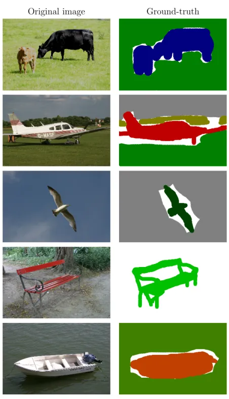 Figure 5.1: Sample images from MSRC dataset [48]. The white colour in the ground-truth images presents unlabelled area.
