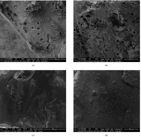 Figure 6. SEM micrographs of the corroded surfaces in different HCl concentrations, (a) 0.005 M; (b) 0.01 M; (c) 0.5 M; (d) 1 M, respectively