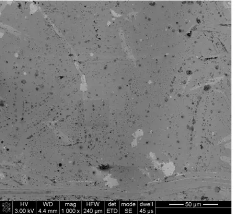 Table 2. Content of alloying elements in passive film in 1 M HCl and 1 M NaCl, respectively