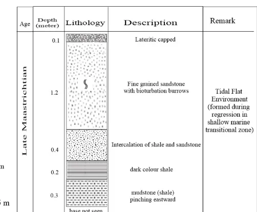 Figure 2: Lithostratigraphic log of Wurno Formation, Rima Group.  