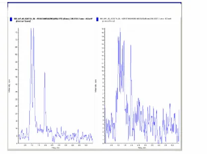 Figure 1 Representative Chromatogram of a Blank Plasma Sample for Norethindrone 