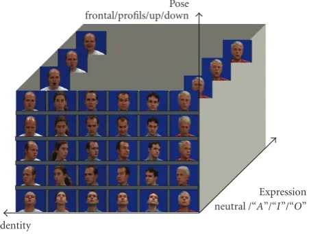 Figure 5: General database.