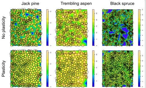 Figure 1 Tree spatial distributions for the 3 sample plots. Top: actual stem-base locations