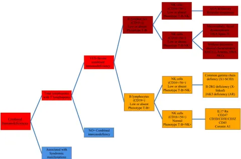 Figure 4. Classification of severe combined immunodeficiency according to consensus of the International Union of the Com-mittee of Experts of Societies of Immunology for Primary Immunodeficiencies