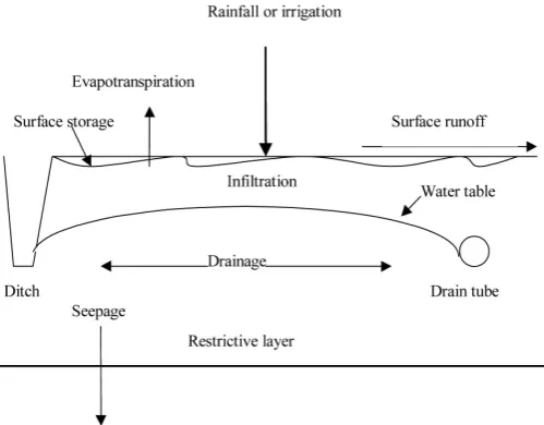 Figure 2. Sampling locations in MPA. 