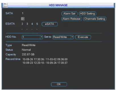 Figure 6-8  For the HDD group setup operation, please note: 