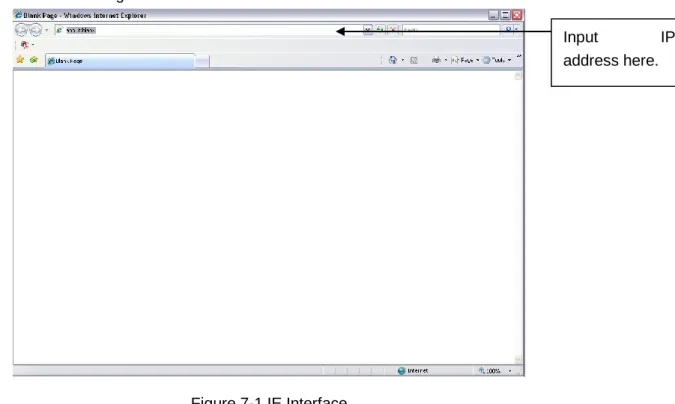 Figure 7-1 IE Interface   