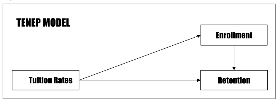 Figure 2 Portion of the TENEP MODEL 