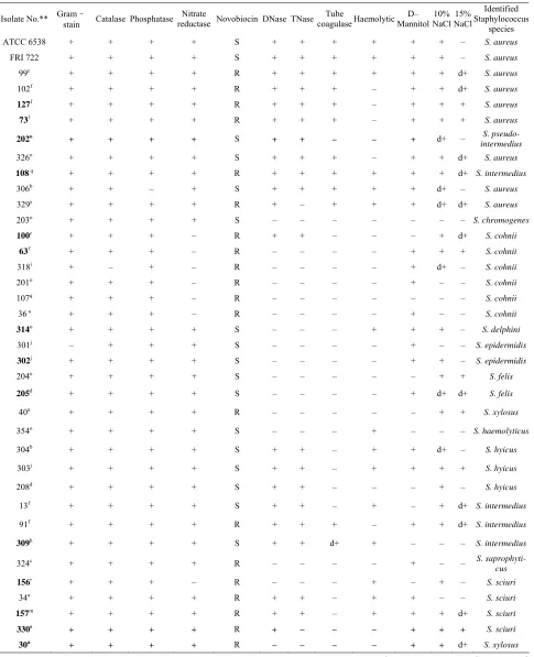 Table 1. Biochemical characterization of Staphylococcus food isolates*. 