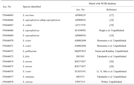 Figure 1. Unrooted Neighbour–joining phylogenetic tree of Staphylococcus food isolates constructed on the basis of digestion of 16S rRNA gene product with AluI restriction enzyme