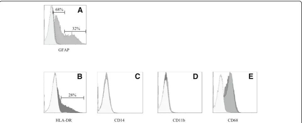 Fig. 5 Phenotypical characterization of HMC3 cells under basal conditions and in response to IFNγ