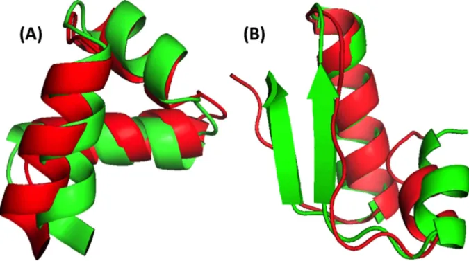 Figure 6.  The structure (Red) constructed directly from φ/ψ angles compared to native structure  (Green)