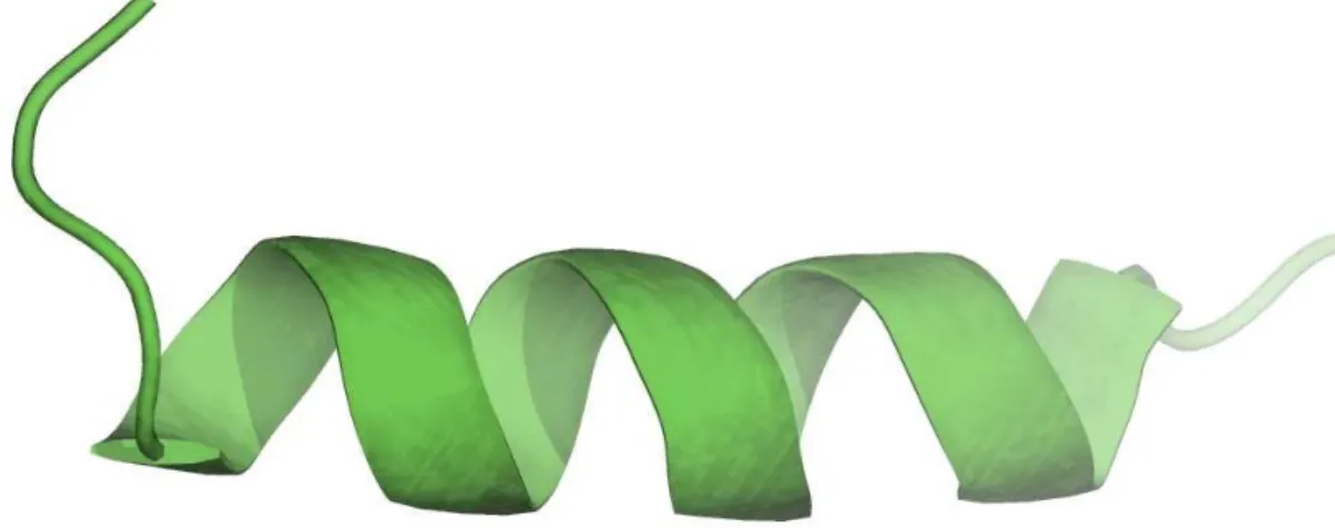 Figure 1.1. An example of an α helix from the UBA domain of the protein p62.  