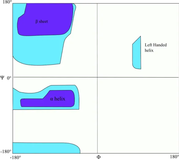 Figure  1.4.  The  Ramachandran  plot.  The  regions  are  labelled  with  the  type  of  secondary  structure  indicated  by  the  angles  found  there