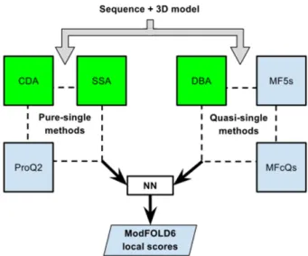 Figure 1. Flow of data for local quality assessment scoring in Mod- Mod-FOLD6. The target sequence and 3D model were evaluated with three pure-single model scoring methods (Secondary Structure Agreement (SSA), Contact Distance Agreement (CDA) and ProQ2) an