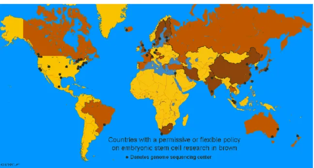 Figure 1: World Map Color Coded For ES Stem Cell Policy. 