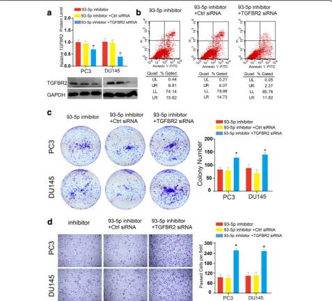 Fig. 5 Rescue assays validated that TGFBR2 mediated the oncogenic functions of miR-93