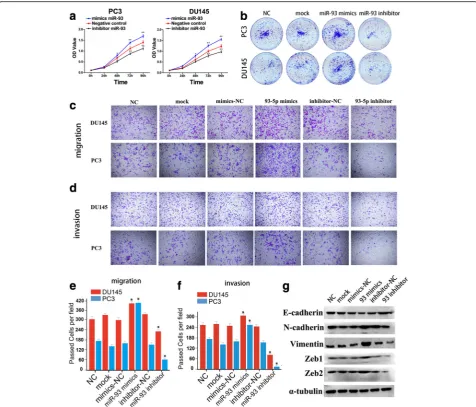 Fig. 4 miR-93 exerted oncogenic functions in PCa.expression on epithelial-mesenchymal markers in DU145 cells