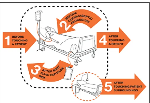 Fig. 1. W.H.O Five moments for hand hygiene 