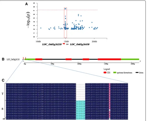 Table 2 The mapped QTLs associated with alkalinity tolerance of japonica rice at seedling stage