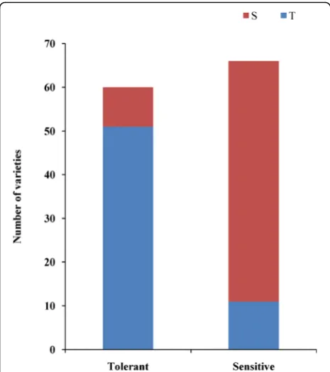 Fig. 6 The distribution of tolerant genotype and sensitive genotypein 126 japonica rice varieties