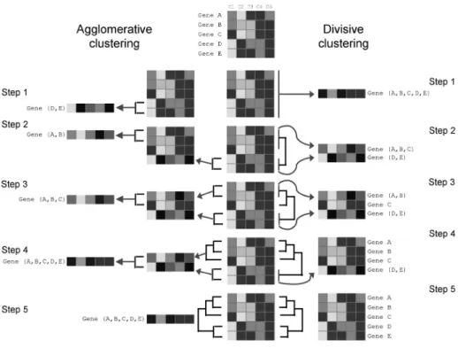 Figure 6. Schematic diagram showing the principle behind agglomerative and divisive clustering