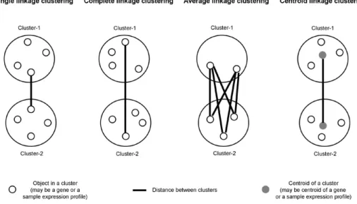 Figure 7. Different algorithms to fi nd distance between two clusters. 