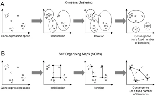 Figure 9. A: The principle behind K-means clustering. Objects are grouped into a predefi ned number of clusters  during the initialization step