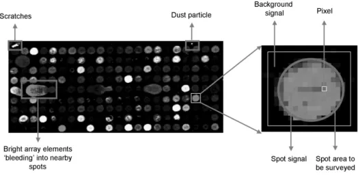 Figure 2. Zooming onto a spot on the microarray slide. The spot area and the background area are depicted by a blue  circle and a white box, respectively