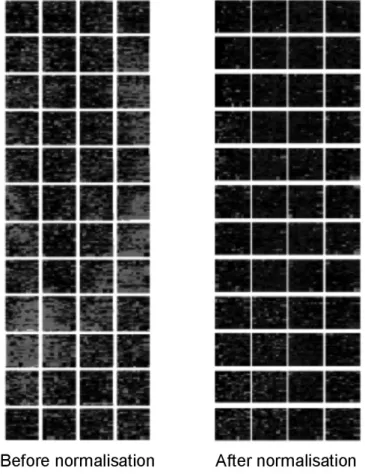 Figure 3. Gene expression data before and after the normalization procedure. Note that before normalization the  image had many spots of different intensities, but after normalization only spots that are really different light up