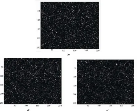 Figure 3. (a) The numerical speed aperture; (b) Thdiffuser obtained in case of umeri-cal speckle image of the diffuser obckle image of the diffuser obtained in case of a linearly distributtained in case of ρ2 quadratic distributed aperture; (c) The numeric