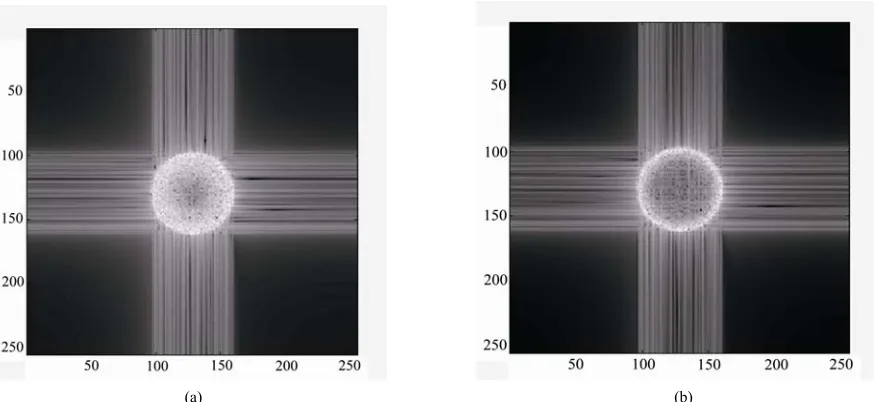 Figure 5. (a) The profile shape of the numerical speckle mage obtained using the linearly distributed aperture; (b) The profile 