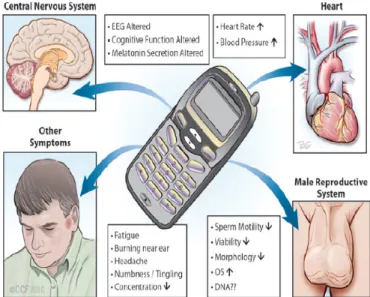 Fig 4: various radiation hazards from cell phones