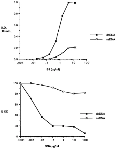 Figure 3.3 The binding of B3 to ss and dsDNA in solid (a) and fluid phase (b) ELISA. The fluid phase ELISA was performed using ss and dsDNA separately as inhibitors of B3 binding to dsDNA on the plate