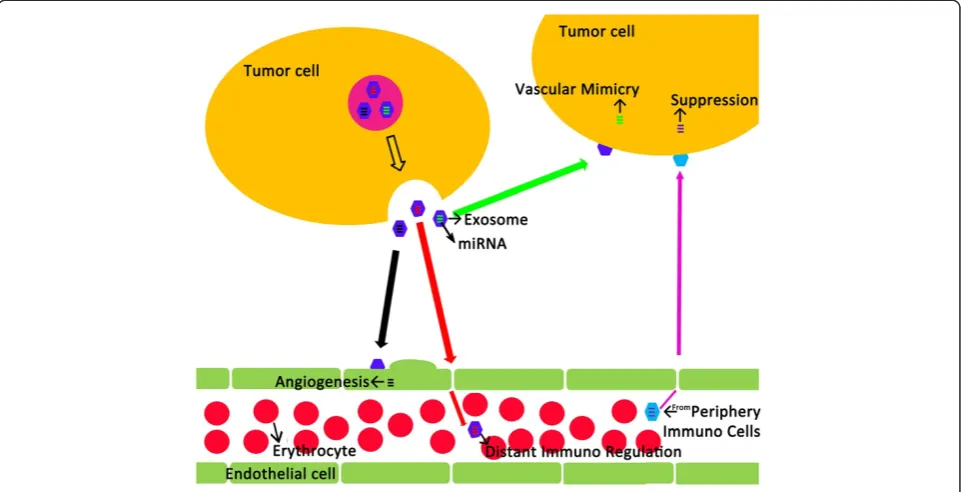 Table 1 Circulating miRNAs as diagnostic markers for different human cancers