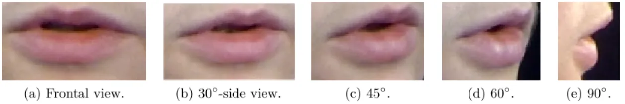 Figure 1.10 – Examples of the cropped mouths for the different view angles from the OuluVS2 database.
