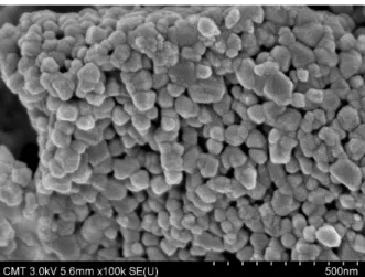 Figure 3. Scanning electron microscopic image of copper-doped titanium dioxide. 